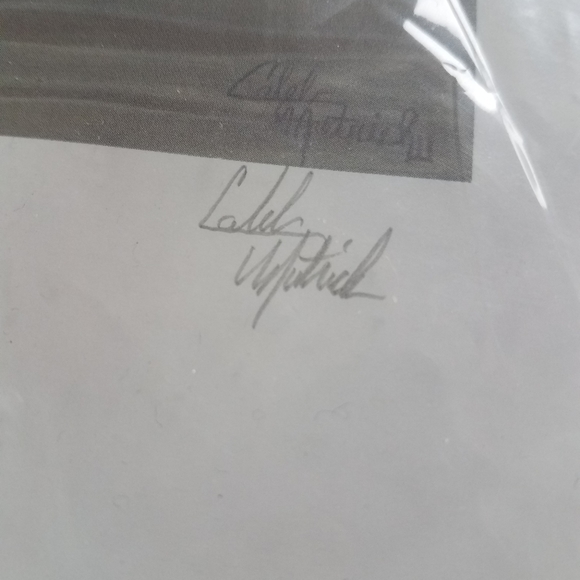 2012 Wisconsin Ducks Unlimited Sponsor signed & numbered Print with stamp - Picture 4 of 7